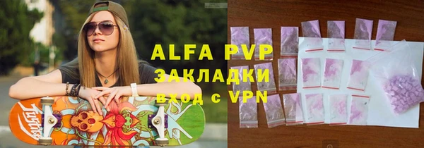 индика Володарск