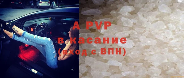 индика Володарск