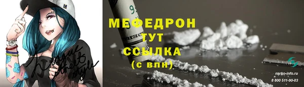 индика Володарск