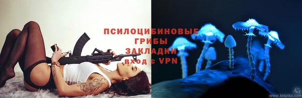 индика Володарск