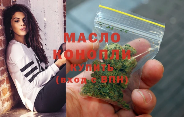 индика Володарск