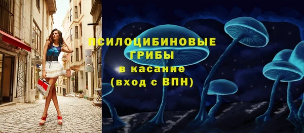 крисы Нея