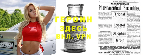 индика Володарск