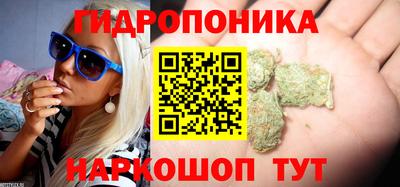 синтетический гашиш Гатчина