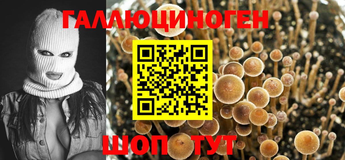 Псилоцибиновые грибы мицелий  где купить наркоту  Североуральск  Вход с VPN 