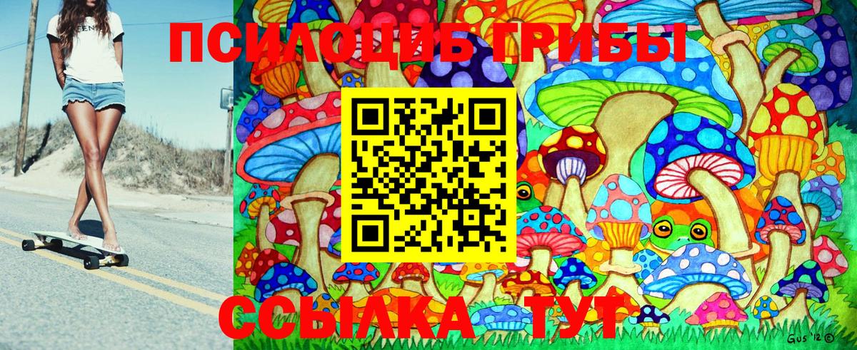 Псилоцибиновые грибы мицелий  Североуральск  цены наркотик  Псилоцибиновые грибы Psilocybe 